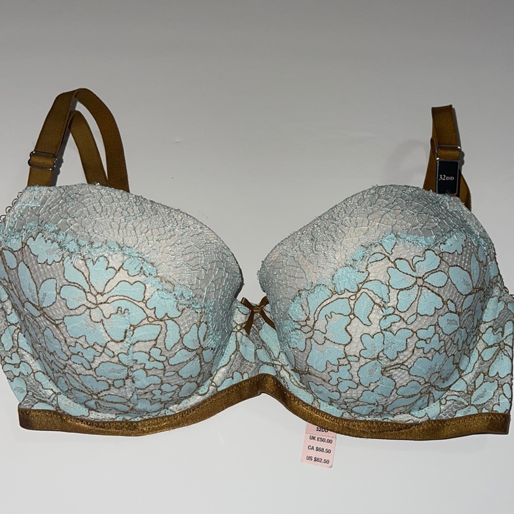 Sky Blue Laced Bra